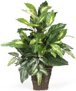Nearly Natural 6527 Greens With Wicker Decorative Silk Plant, Green 30 In X 9 In X 7.5 In -Nearly Natural Store 51fwjHUcuML. AC