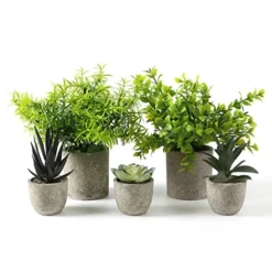 Memeaty Set Of 5 Small Fake Plants Artificial Rosemary Peppermint Plants Fake Succulents Plants In Pot For Home Office Decoration,Artficial Greenery Faux Plants Indoor For Table Shelf Decor -Nearly Natural Store 51g9ASa3tuL