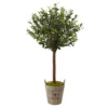 Nearly Natural 5960 4.5' Olive Topiary Tree With European Barrel Planter