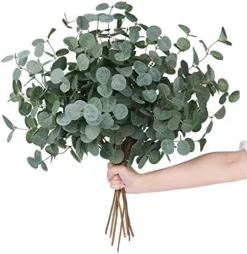 Miracliy Faux Eucalyptus Stems Artificial Eucalyptus Leaves Silk Silver Dollar Eucalyptus OliveBranches For Vases For Home Table Decor -Nearly Natural Store 51gk bJN6pL. AC