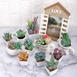 CEWOR 20pcs Artificial Flocked Succulents Mini Fake Succulent Plants Faux Premium Decor For DIY Crafting Home Floral Wall Garden Arrangement Office Decoration (Unpotted) 7 CEWOR 20pcs Artificial Flocked Succulents Mini Fake Succulent Plants Faux Premium Decor For DIY Crafting Home Floral Wall Garden Arrangement Office Decoration (Unpotted) -Nearly Natural Store 51gywubQQwL