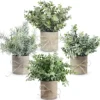 JC Nateva Small Fake Plants Mini Potted Artificial Plants Indoor For Home Office Farmhouse Kitchen Bathroom Table Decor