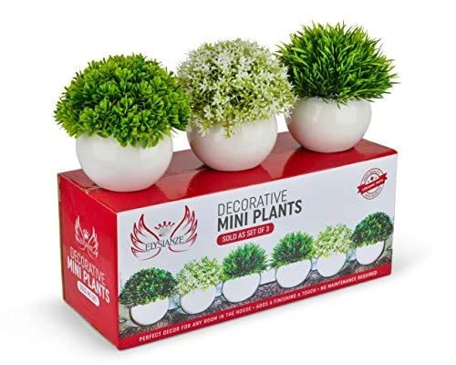 ELYSIANZE Mini Artificial Plants | Modern Farmhouse Plants Home Decor | Small Fake Plants | Office/Kitchen/Bathroom/Bedroom/Mantle/Shelf/Living Room/Table Decoration Faux Plant Set 2 ELYSIANZE Mini Artificial Plants | Modern Farmhouse Plants Home Decor | Small Fake Plants | Office/Kitchen/Bathroom/Bedroom/Mantle/Shelf/Living Room/Table Decoration Faux Plant Set - Image 2