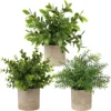 Briful Artificial Potted Plants Set Of 3 Small Faux Plant Eucalyptus Mini Fake Plant Decor For Home Table Office Room Desk Bathroom Shelf Kitchen Rustic Farmhouse Mantel Decoration