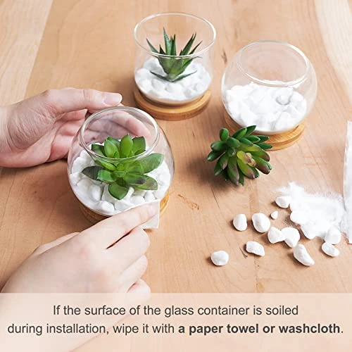 Mkono Artificial Succulent In Clear Glass Pot, Set Of 3 Mini Potted Fake Plants For Women Office Decor Small Faux Green Plant With BambooTray For Bookshelf Bathroom Kitchen Decor Tabletop Centerpiece 2 Mkono Artificial Succulent In Clear Glass Pot, Set Of 3 Mini Potted Fake Plants For Women Office Decor Small Faux Green Plant With BambooTray For Bookshelf Bathroom Kitchen Decor Tabletop Centerpiece - Image 2