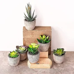 Sophia's Garden Small Artificial Succulents Plants Artificial Potted Fake Plant Decor Bedroom (6 Piece Faux Succulents In Pots 2.3") Fake Succulent Decor Fake Succulents Mini Succulents Desk Office -Nearly Natural Store 51iVZx8zPhL