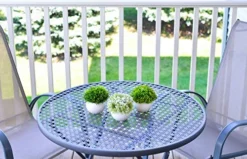 ELYSIANZE Mini Artificial Plants | Modern Farmhouse Plants Home Decor | Small Fake Plants | Office/Kitchen/Bathroom/Bedroom/Mantle/Shelf/Living Room/Table Decoration Faux Plant Set 10 ELYSIANZE Mini Artificial Plants | Modern Farmhouse Plants Home Decor | Small Fake Plants | Office/Kitchen/Bathroom/Bedroom/Mantle/Shelf/Living Room/Table Decoration Faux Plant Set -Nearly Natural Store 51jOoYwoSYL