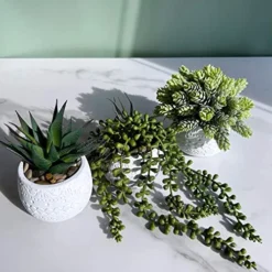 Winlyn 3 Pcs Assorted Small Potted Succulent Plants Artificial Aloe Hanging Succulent In White Geometric Concrete Ceramic Pots For Gift Party Wedding Favors Windowsill Table Shelf Indoor Outdoor Decor 12 Winlyn 3 Pcs Assorted Small Potted Succulent Plants Artificial Aloe Hanging Succulent In White Geometric Concrete Ceramic Pots For Gift Party Wedding Favors Windowsill Table Shelf Indoor Outdoor Decor -Nearly Natural Store 51jrRZuvhRL