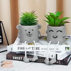Natheeph 2 Pcs Succulents Plants Artificial Fake Plant Faux Succulents Hanging Leg With Cement Potted For Home Office Desk Bedroom Bookshelf Greenery Decoration (Smile & Bear) -Nearly Natural Store 51jynmWVc8L. AC