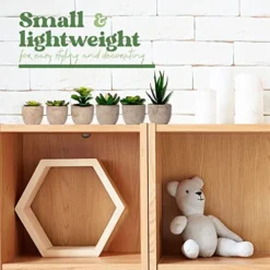 Sophia's Garden Small Artificial Succulents Plants Artificial Potted Fake Plant Decor Bedroom (6 Piece Faux Succulents In Pots 2.3") Fake Succulent Decor Fake Succulents Mini Succulents Desk Office -Nearly Natural Store 51kqxj3Dh1L