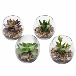 MyGift Assorted Artificial Succulent Fake Plant In Small Clear Glass Display Vases, Set Of 4