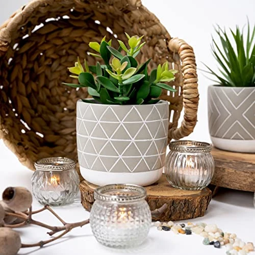 Kurrajong Farmhouse Artificial Succulent Plant 7.5" X 4.5" | Beautiful Faux Plant For Home Decor Indoor | Realistic Artificial Plants | Fake Plants For Desk Decor | Fake Succulent In Pot 2 Kurrajong Farmhouse Artificial Succulent Plant 7.5" X 4.5" | Beautiful Faux Plant For Home Decor Indoor | Realistic Artificial Plants | Fake Plants For Desk Decor | Fake Succulent In Pot - Image 2