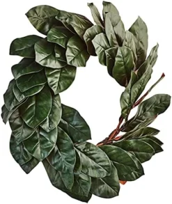 Nearly Natural Magnolia Leaf Wreath, 24", Green -Nearly Natural Store 51mxUYqb8AL. AC