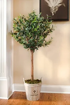 Nearly Natural 5960 4.5' Olive Topiary Tree With European Barrel Planter -Nearly Natural Store 51nDvMkLzfL