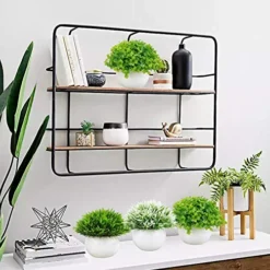 Summer Flower 5 Pack Mini Artificial Plants In Ceramics Pots For Bathroom Home Decor Indoor, 2 Fake Mini Plant Green Boxwood Potted,3 Grass Faux Plant In White Pot For Bookshelf Farmhouse Decorations -Nearly Natural Store 51o3aRnzmdL