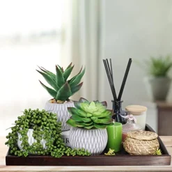 Set Of 3 Small Potted Succulent Plants Artificial Hanging Succulent Aloe In Gray Concrete Ceramic Pots With Geometry Textured For Party Favor Gift Windowsill Table Shelf Indoor Outdoor Greenery Decor -Nearly Natural Store 51oBWZMeTUL