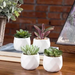 MyGift Miniature Artificial Succulents, Indoor Fake House Plants In Round White Geometric Ceramic Pots, Set Of 4 -Nearly Natural Store 51oCbCfdwaL