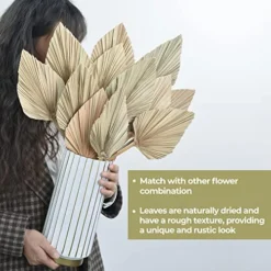 PYSAZI 12 Pcs Natural Dried Palm Leaves Boho Dried Palm Spears Leaves Bulk Small Dried Real Palm Fans Dry Palm Leaves With Stems Dried Leaf Boho Home Décor For Vase Wedding Office Home 43.5*12cm -Nearly Natural Store 51oDO0staYL