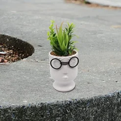 ALIWINER Artificial Succulents Plants With Ceramic Pot Decor Figurines Living Room Decor Home Decoration -Nearly Natural Store 51oVhcmWiIL