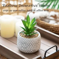 CADNLY Small Artificial Plants In Pots - Fake Plants For Bathroom Office Desk - Faux Succulents Plants Artificial Succulents Decor - Faux Plants Indoor Small Plants Shelf Decor Green Potted Plant -Nearly Natural Store 51ozXHMrFUL