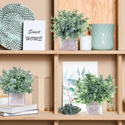 Winlyn Set Of 3 Small Potted Plants Artificial Eucalyptus In Wood Box Faux Eucalyptus In Pots Desk Plants Greenery Centerpiece Table Decorations For Farmhouse Kitchen Windowsill Shelf Entryway Decor -Nearly Natural Store 51poBZRbKIL