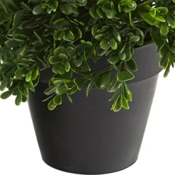 Nearly Natural Mini 10in. Boxwood Topiary Artificial Plant UV Resistant (Indoor/Outdoor), Green -Nearly Natural Store 51prQxr4qbL