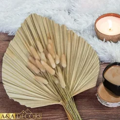 GENERIC Dried Palm Leaves - 3 Pcs Stunning Dried Palm Leaf And 15Pcs Bunny Tails Dried Flowers | Gorgeously Thick Dried Palm Leaves Decor And Bunny Tail For Wedding, Home And Boho Decor | 18 Inch -Nearly Natural Store 51q2vOo1tQL