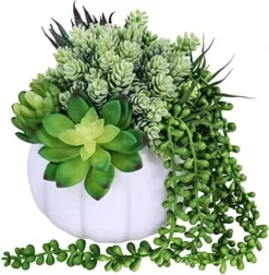 White Fall Pumpkin Centerpiece Artificial Succulent Pumpkin Arrangement With Assorted String Of Pearls Succulents For Fall Thanksgiving Gifts Home Wedding Table Mantel Windowsill Shelf Decor -Nearly Natural Store 51qAJsaMVEL. AC