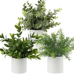 Briful Mini Fake Plants Set Of 2 Small Faux Plant Eucalyptus Rosemary Greenery Potted Plants Artificial Decor For Home Table Office Room Desk Bathroom Shelf Kitchen Farmhouse Mantel Decoration 20 Briful Mini Fake Plants Set Of 2 Small Faux Plant Eucalyptus Rosemary Greenery Potted Plants Artificial Decor For Home Table Office Room Desk Bathroom Shelf Kitchen Farmhouse Mantel Decoration -Nearly Natural Store 51qImqhabyL. AC