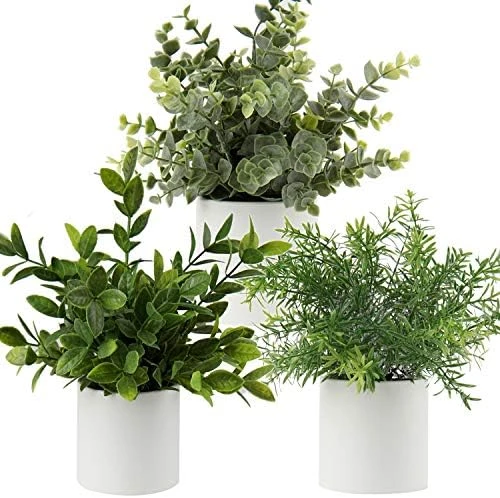 Briful Mini Fake Plants Set Of 2 Small Faux Plant Eucalyptus Rosemary Greenery Potted Plants Artificial Decor For Home Table Office Room Desk Bathroom Shelf Kitchen Farmhouse Mantel Decoration 10 Briful Mini Fake Plants Set Of 2 Small Faux Plant Eucalyptus Rosemary Greenery Potted Plants Artificial Decor For Home Table Office Room Desk Bathroom Shelf Kitchen Farmhouse Mantel Decoration - Image 10