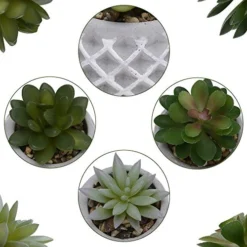Succulent Decor, Fake Succulents, Succulent Wall Decor, Succulents Artificial Decor, Small Fake Plant, Succulent Decoration, Potted Plants, Set Of 3 Succulents -Nearly Natural Store 51rCmn8CioL