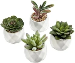 MyGift Miniature Artificial Succulents, Indoor Fake House Plants In Round White Geometric Ceramic Pots, Set Of 4 -Nearly Natural Store 51rCowEeU1L. AC