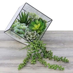 Winlyn 6 Pcs Unpotted Fake Succulents Assorted Faux Succulent In Different Green Artificial Hanging Succulents Textured Faux Succulent Pick Hanging String Of Pearls Plant For Wedding Centerpieces -Nearly Natural Store 51rW3on6QNL