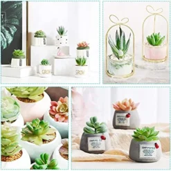 Happyhapi 12 Pcs Artificial Succulents Mini Fake Plants Unpotted Faux Succulent For Craft, Small Plastic Succulents Assortment In Flocked Green Floral Decor For Party, Cake, Garden & Outdoor -Nearly Natural Store 51tPUEnE0wL