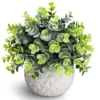 Hopewood Fake Plants Indoor Small Artificial Eucalyptus Plants In White Pots For Bedroom Home Decor Faux Plants Decor