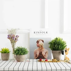 Velener 2Pcs Mini Artificial Boxwood Topiary Faux Plants Indoor- Small Fake Plants Decor Magnolia Home Office Desk Cubicle Farmhouse Kitchen Bookshelf Bedroom Bathroom Decor, Aloe Vera Zen Garden -Nearly Natural Store 51tpxYtzUwL