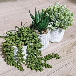 Set Of 3 Assorted Small Potted Succulent Plants Fake Aloe String Of Pearls Hops Succulents In Gray Geometric Concrete Ceramic Pots For Gifts Modern Home Office Desk Table Indoor Outdoor Greenery Decor -Nearly Natural Store 51ttw9Lc6zL