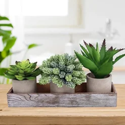 Winlyn Set Of 3 Artificial Potted Succulents Plants In Rustic Wood Tray Succulents Arrangement For Farmhouse Table Centerpiece Desk Windowsill Shelf Counter Home Bathroom Kitchen Office Country Decor -Nearly Natural Store 51u6pGL3NRL