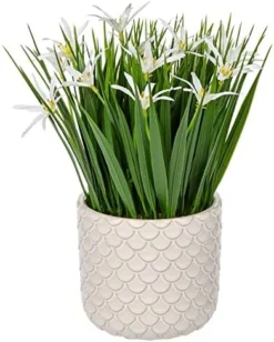 Briful Small Artificial Grass Plant Decor Wheat Fake Plant With Flowers In Ceramic Pot Real Touch Potted Greenery Faux Plant For Kitchen Countertop Tabletop Bookshelf Coffee Decorations -Nearly Natural Store 51u9cnrqoLL. AC