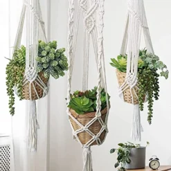 Winlyn 19 Pcs Assorted Artificial Succulents Plants Unpotted Small Green Aloe Hops Cactus String Of Pearls Picks Fake Succulents Bulk For Succulent Garden Floral Arrangement Indoor Outdoor Home Decor -Nearly Natural Store 51uSpP4307L