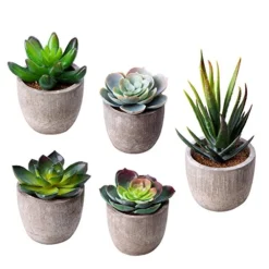 Jelofly Fake Plants Artificial Succulent Plants Assorted Decorative Faux Succulent Potted Fake Cactus Cacti Plants Gray Pots, Set Of 5