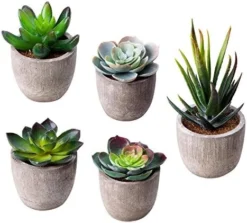 Jelofly Fake Plants Artificial Succulent Plants Assorted Decorative Faux Succulent Potted Fake Cactus Cacti Plants Gray Pots, Set Of 5 -Nearly Natural Store 51uyonDcaiL. AC