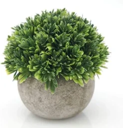 Velener 2Pcs Mini Artificial Boxwood Topiary Faux Plants Indoor- Small Fake Plants Decor Magnolia Home Office Desk Cubicle Farmhouse Kitchen Bookshelf Bedroom Bathroom Decor, Aloe Vera Zen Garden -Nearly Natural Store 51wyXjOJgJL. AC