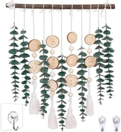 HYUZO Hanging Eucalyptus Boho Wall Decor Large Bedroom Eucalyptus Garland Artificial Eucalyptus Greenery Farmhouse Rustic Wall Hanging Fake Plants Leaves 5.6 Feet For Bathroom Living Room Decorations -Nearly Natural Store 51yfQm0U5QL. AC