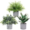 Set Of 3 Assorted Small Potted Plants Fake Eucalyptus Boxwood Plants Aloe Succulent Plant In Black And White Geometric Pots For Table Centerpiece Windowsill Shelf Indoor Outdoor Garden Greenery Decor