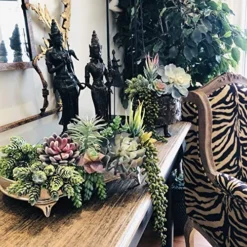 Caqpo Artificial Succulents - 15 Pack - Premium Unpotted Succulent Plants Artificial - Realistic Textured Succulents - Fake Succulent Plants For DIY - Faux Cactus Plant Bulk - Feaux Succulent Plants -Nearly Natural Store 619mSHp3bqL