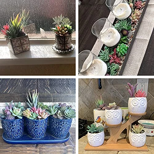 CEWOR 20pcs Artificial Flocked Succulents Mini Fake Succulent Plants Faux Premium Decor For DIY Crafting Home Floral Wall Garden Arrangement Office Decoration (Unpotted) 5 CEWOR 20pcs Artificial Flocked Succulents Mini Fake Succulent Plants Faux Premium Decor For DIY Crafting Home Floral Wall Garden Arrangement Office Decoration (Unpotted) - Image 5