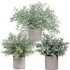 Winlyn Mini Potted Plants Artificial Flocked Eucalyptus Boxwood Rosemary Greenery In Pots Faux Potted Herbs Small Houseplants 8.8"-10" Tall For Indoor Greenery Tabletop Décor Centerpiece 3 Pack
