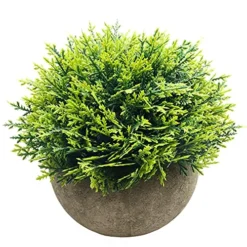 Svenee Mini Fake Cypress Cedar Plants For Bathroom Home Office Desk Decor, Small Artificial Faux Greenery For Farmhouse Decorations (Potted Plants) (2)