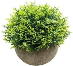 Svenee Mini Fake Cypress Cedar Plants For Bathroom Home Office Desk Decor, Small Artificial Faux Greenery For Farmhouse Decorations (Potted Plants) (2) 10 Svenee Mini Fake Cypress Cedar Plants For Bathroom Home Office Desk Decor, Small Artificial Faux Greenery For Farmhouse Decorations (Potted Plants) (2) -Nearly Natural Store 61TNsSWlMcS. AC 2